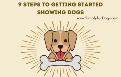 9 Steps to Getting Started Showing Dogs