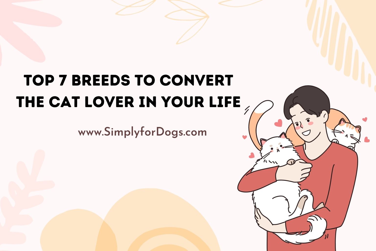 Top 7 Breeds to Convert the Cat Lover in Your Life
