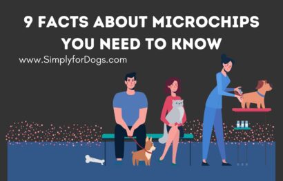 9 Facts About Microchips You Need to Know