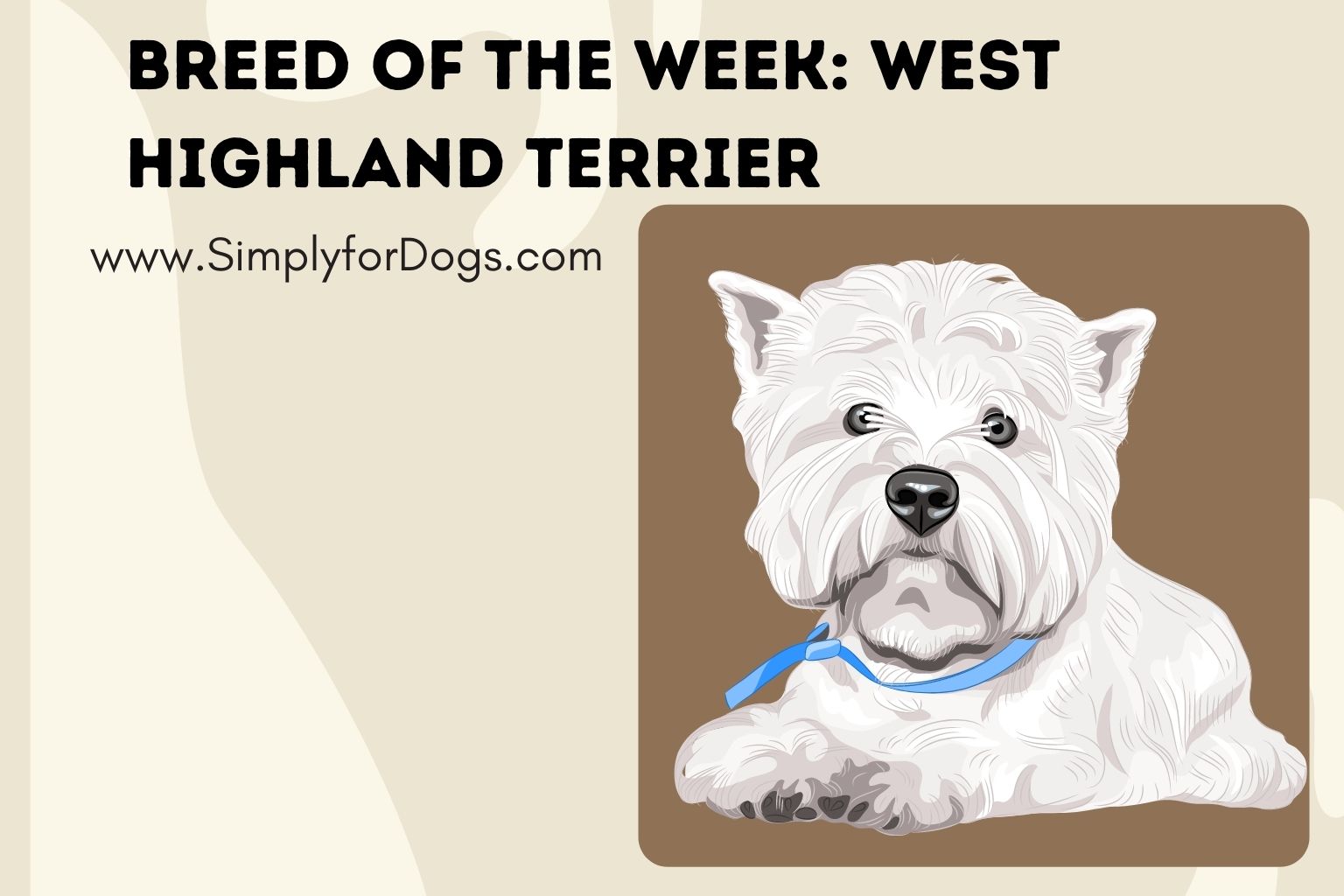 Breed of the Week_ West Highland Terrier