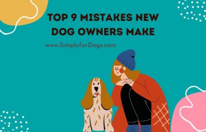 Top 9 Mistakes New Dog Owners Make