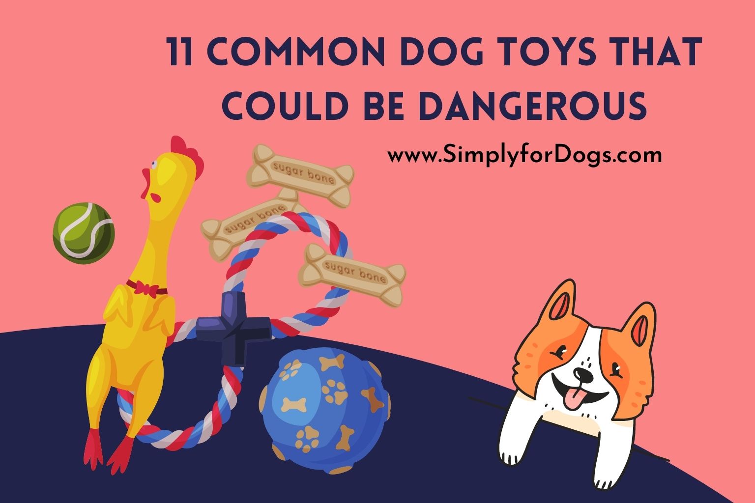 11 Common Dog Toys That Could Be Dangerous