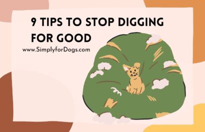 9 Tips to Stop Digging for Good