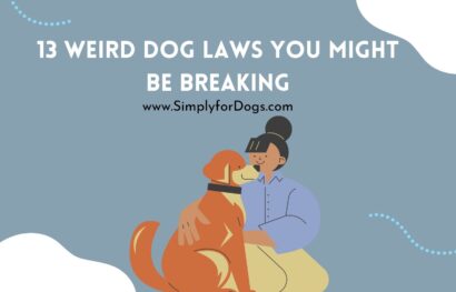 13 Weird Dog Laws You Might Be Breaking