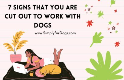 7 Signs That You Are Cut Out to Work with Dogs