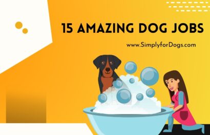 15 Amazing Dog Jobs