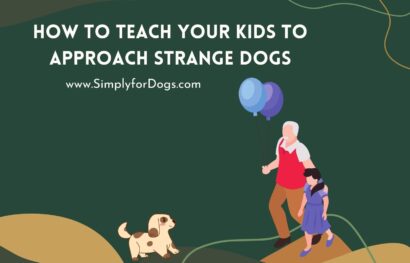 How to Teach Your Kids to Approach Strange Dogs