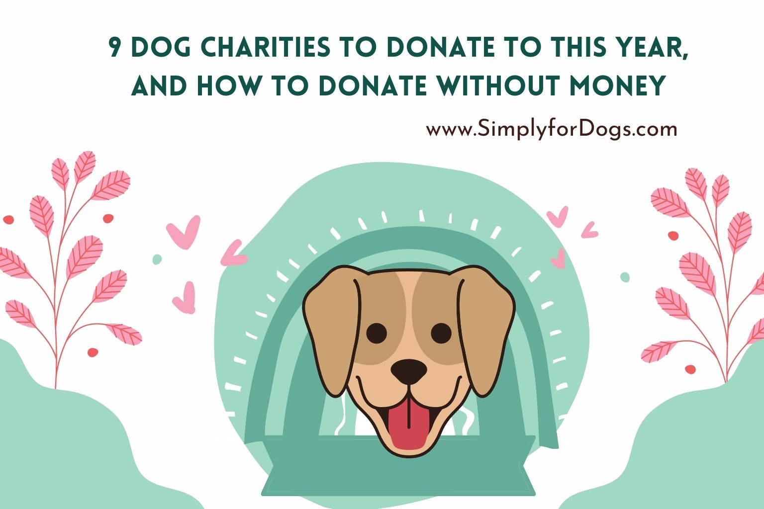 9 Dog Charities to Donate to This Year, and How to Donate without Money