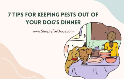 7 Tips for Keeping Pests Out of Your Dog’s Dinner