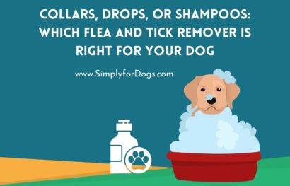 Collars, Drops, or Shampoos_ Which Flea and Tick Remover is Right for Your Dog