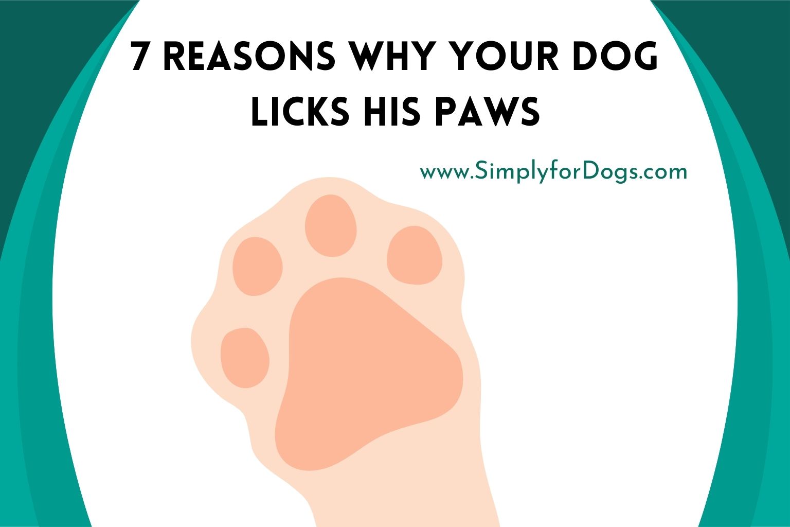 7 Reasons Why Your Dog Licks His Paws