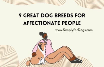 9 Great Dog Breeds for Affectionate People