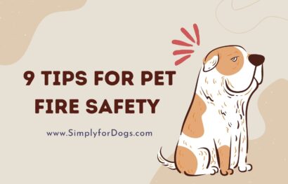 9 Tips for Pet Fire Safety