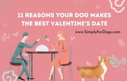 11 Reasons Your Dog Makes the Best Valentine’s Date