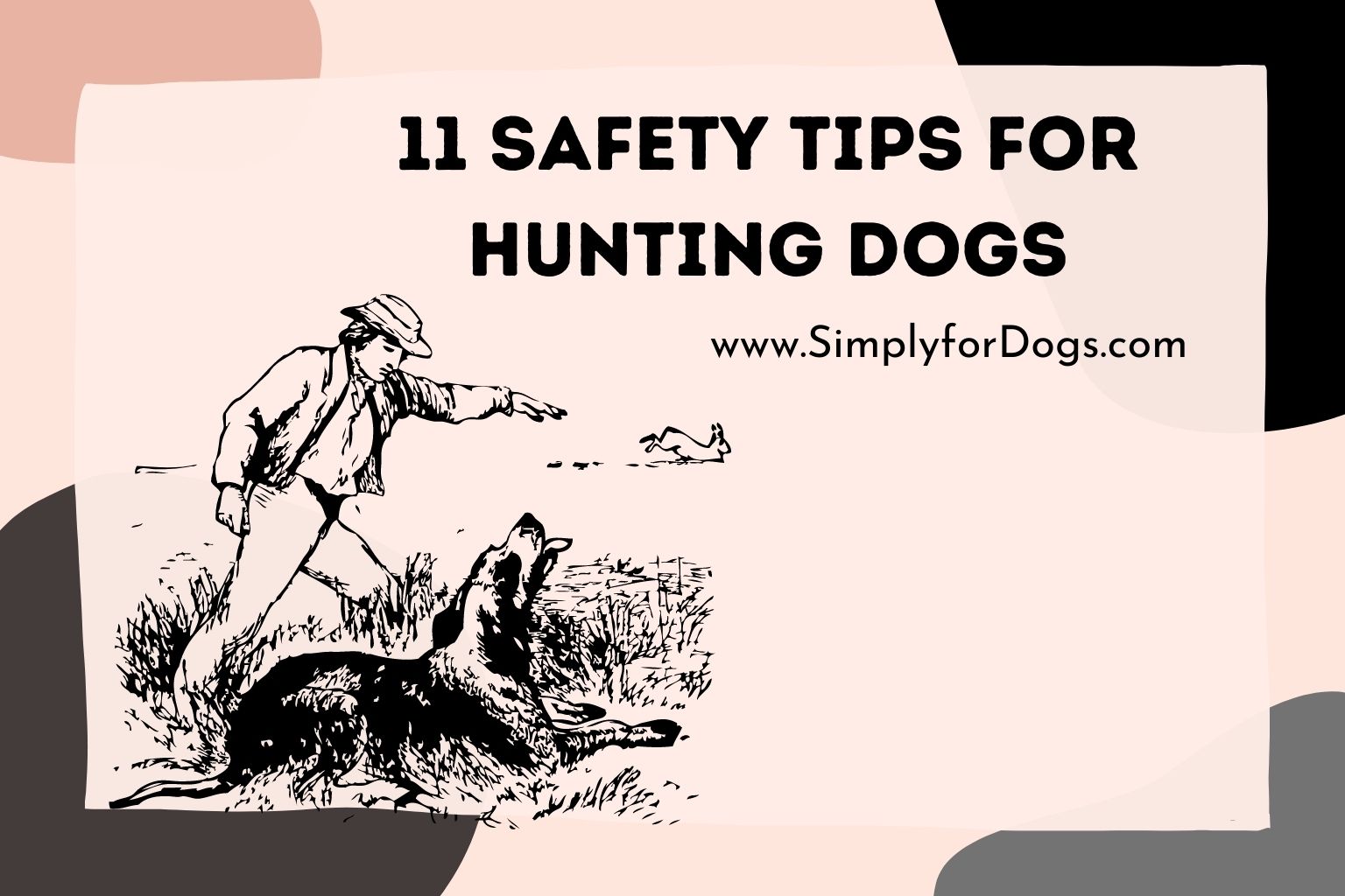 11 Safety Tips for Hunting Dogs