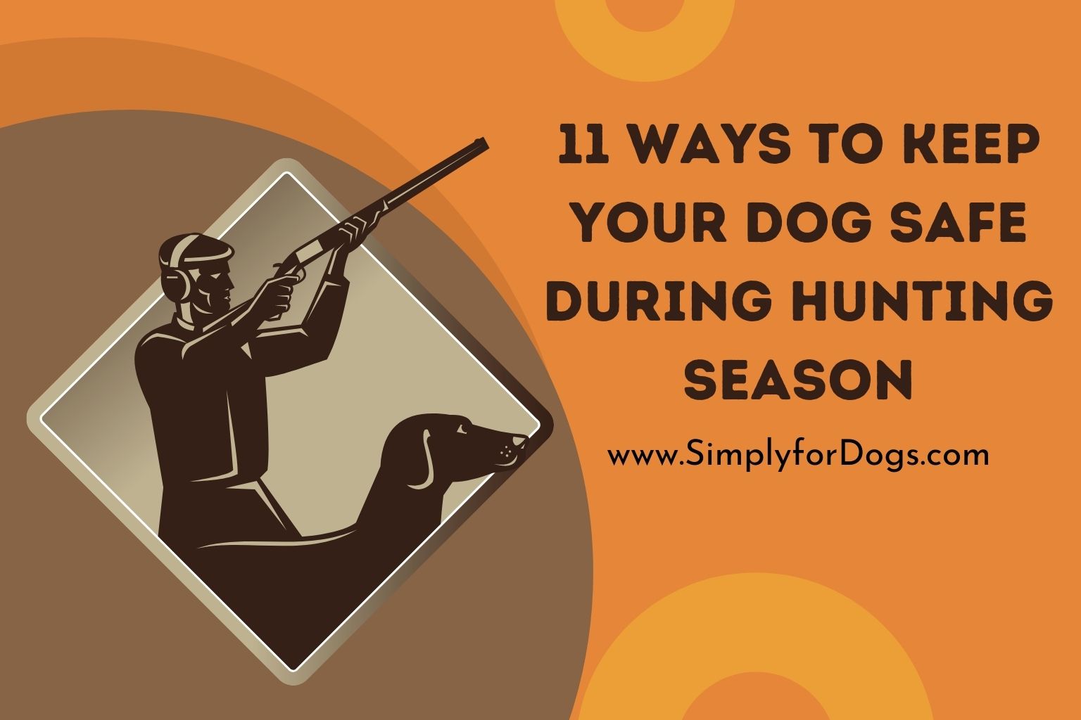 11 Ways to Keep Your Dog Safe During Hunting Season