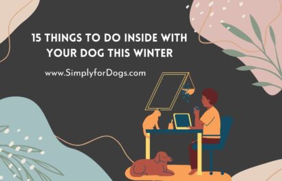 15 Things to Do Inside with Your Dog This Winter