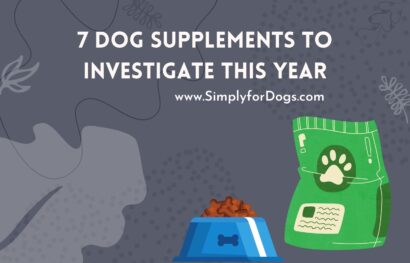 7 Dog Supplements to Investigate This Year