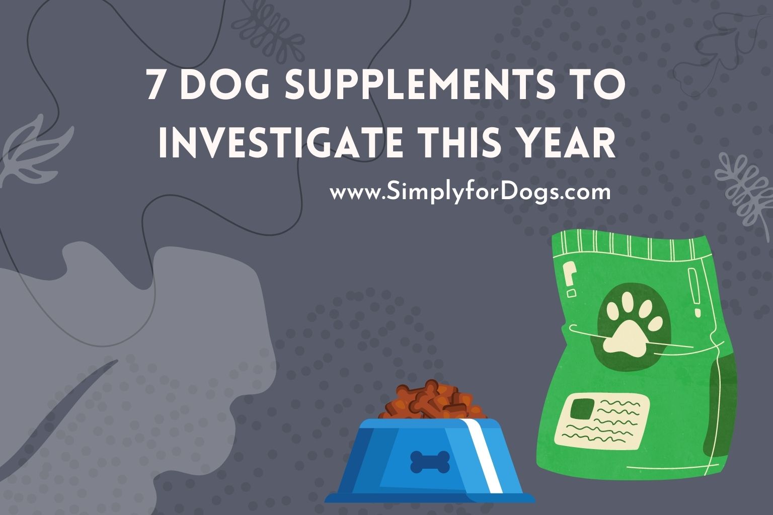 7 Dog Supplements to Investigate This Year