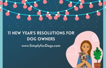 11 New Year’s Resolutions for Dog Owners