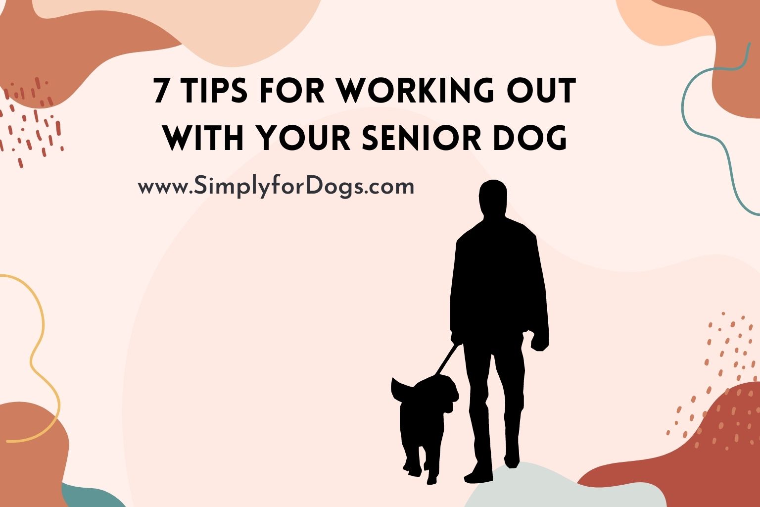 7 Tips for Working Out with Your Senior Dog