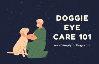 Doggie Eye Care 101