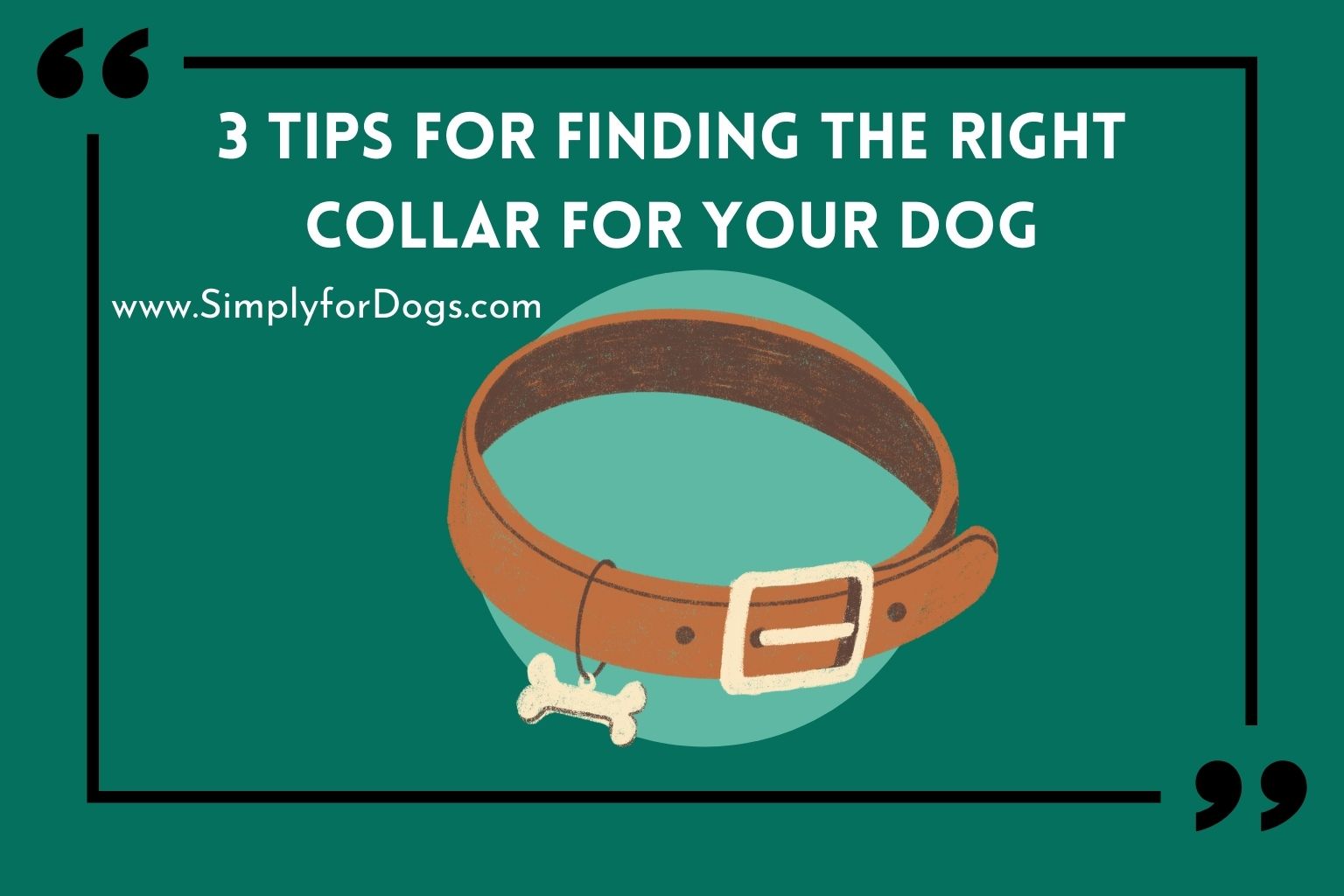 3 Tips for Finding the Right Collar for Your Dog