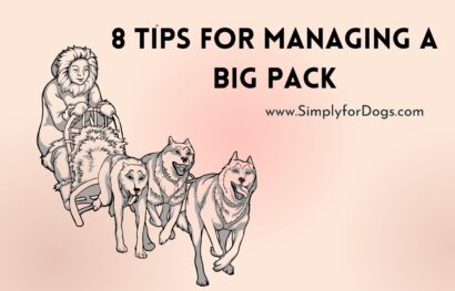 8 Tips for Managing a Big Pack