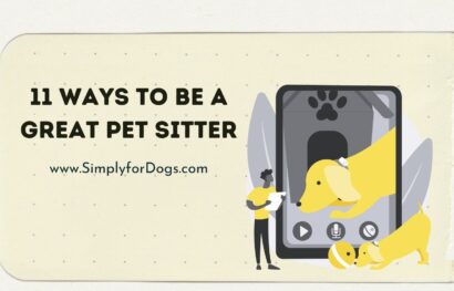 11 Ways to Be a Great Pet Sitter