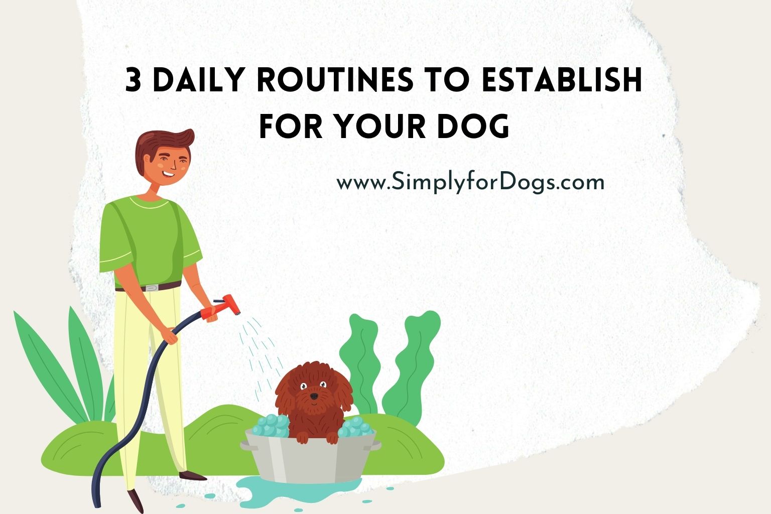 3 Daily Routines to Establish for Your Dog