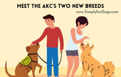 Meet the AKC’s Two New Breeds