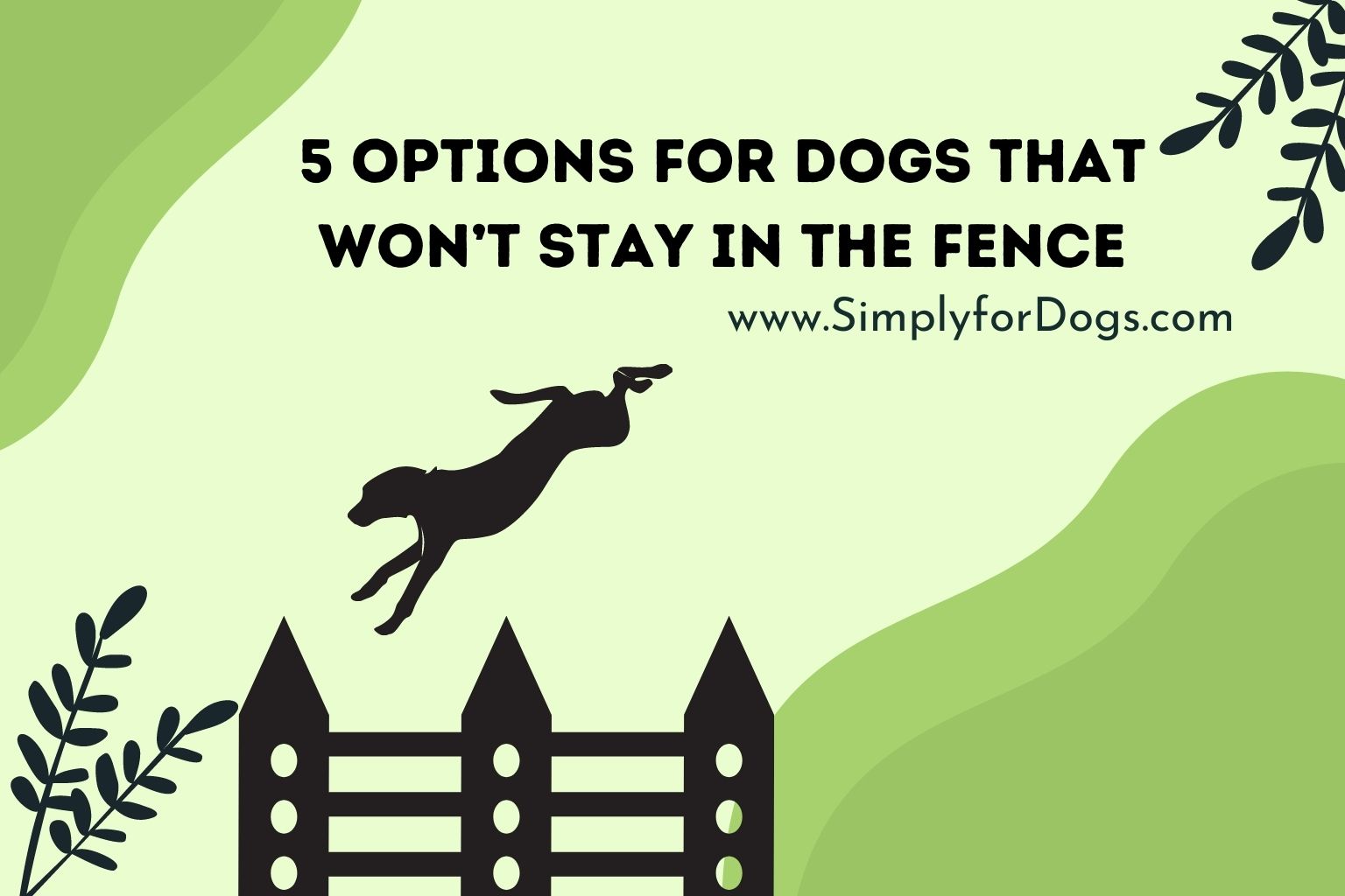 5 Options for Dogs That Won’t Stay in the Fence