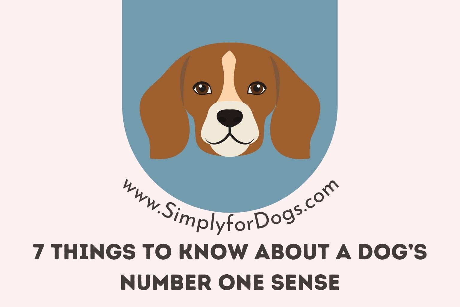 7 Things to Know About a Dog’s Number One Sense