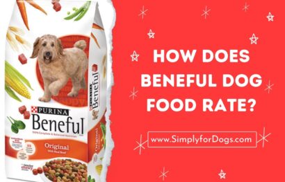 How Does Beneful Dog Food Rate