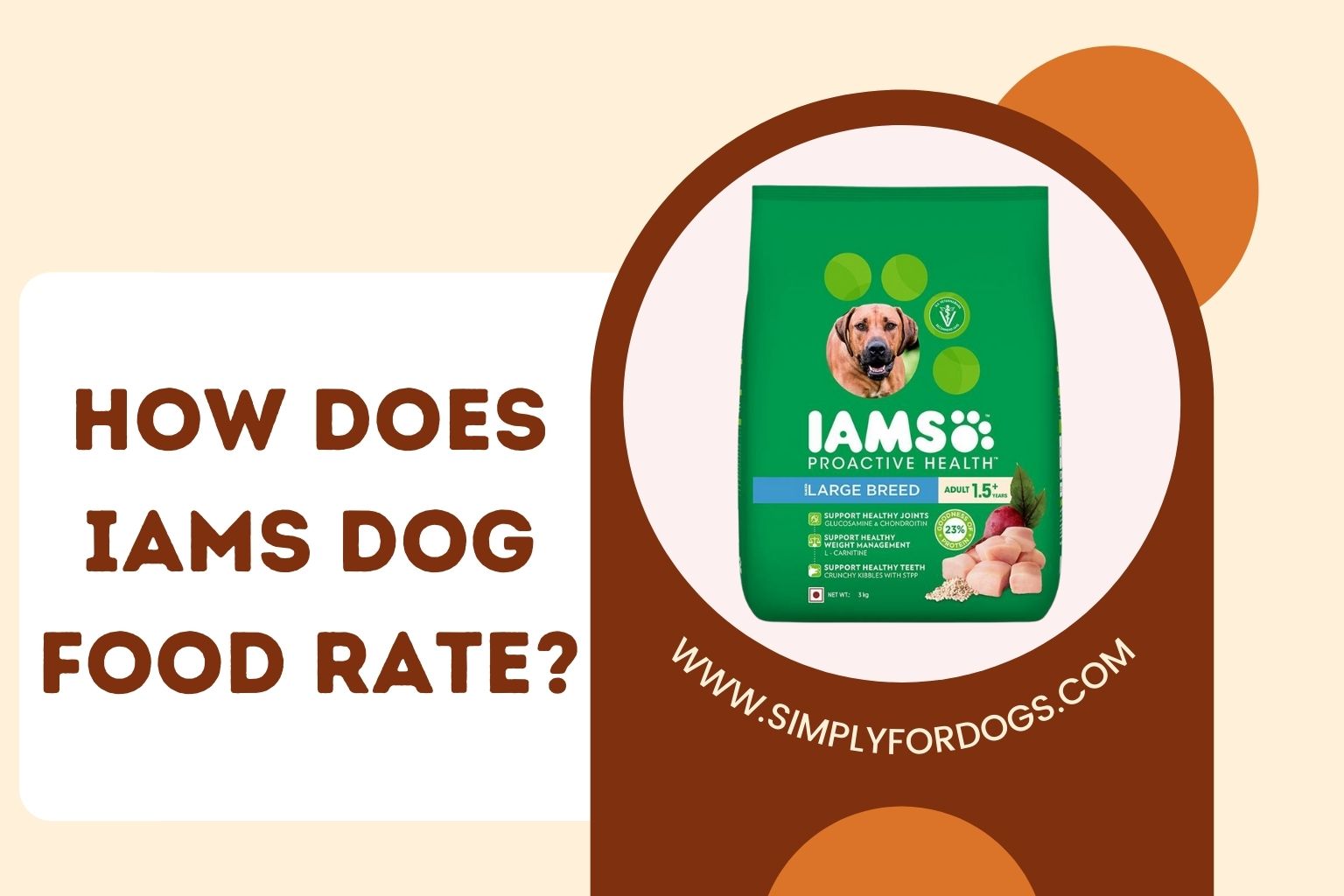 How Does IAMS Dog Food Rate