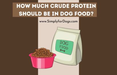 How Much Crude Protein Should be in Dog Food