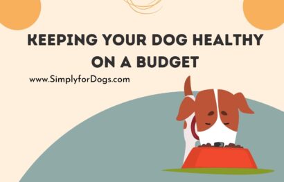 Keeping Your Dog Healthy on a Budget