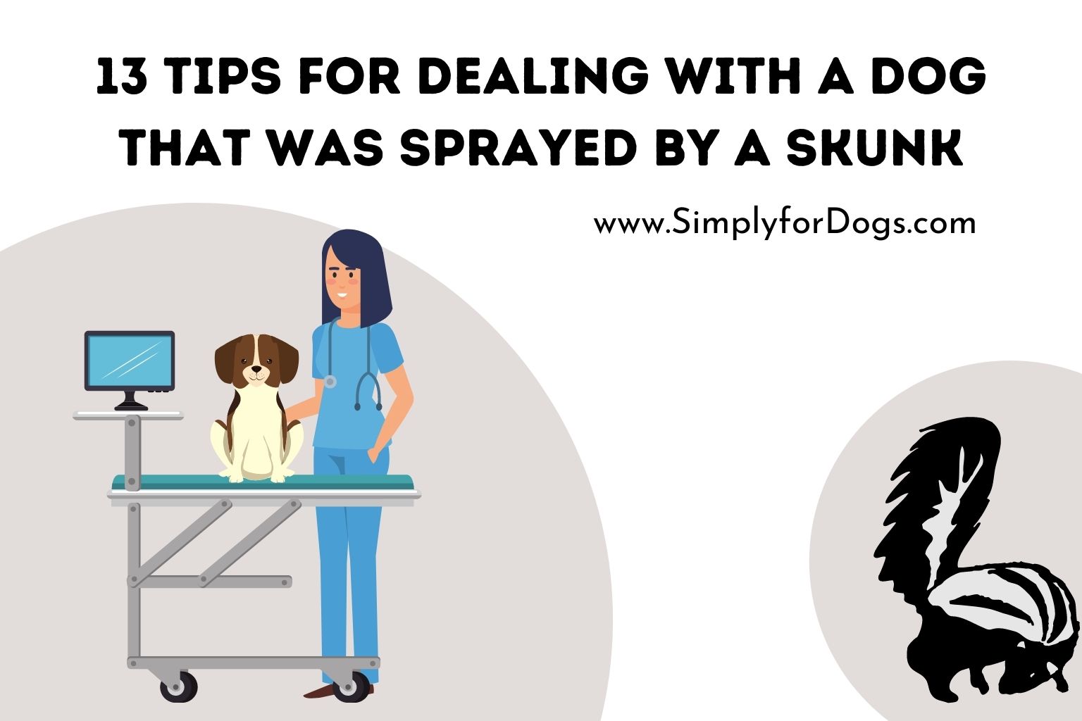 13 Tips for Dealing with a Dog That Was Sprayed by a Skunk