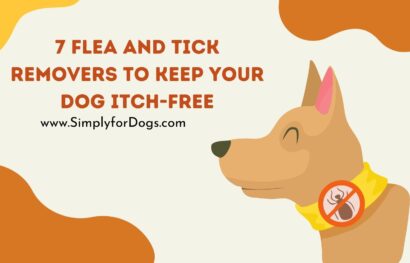 7 Flea and Tick Removers to Keep Your Dog Itch-Free
