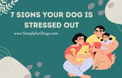 7 Signs Your Dog is Stressed Out