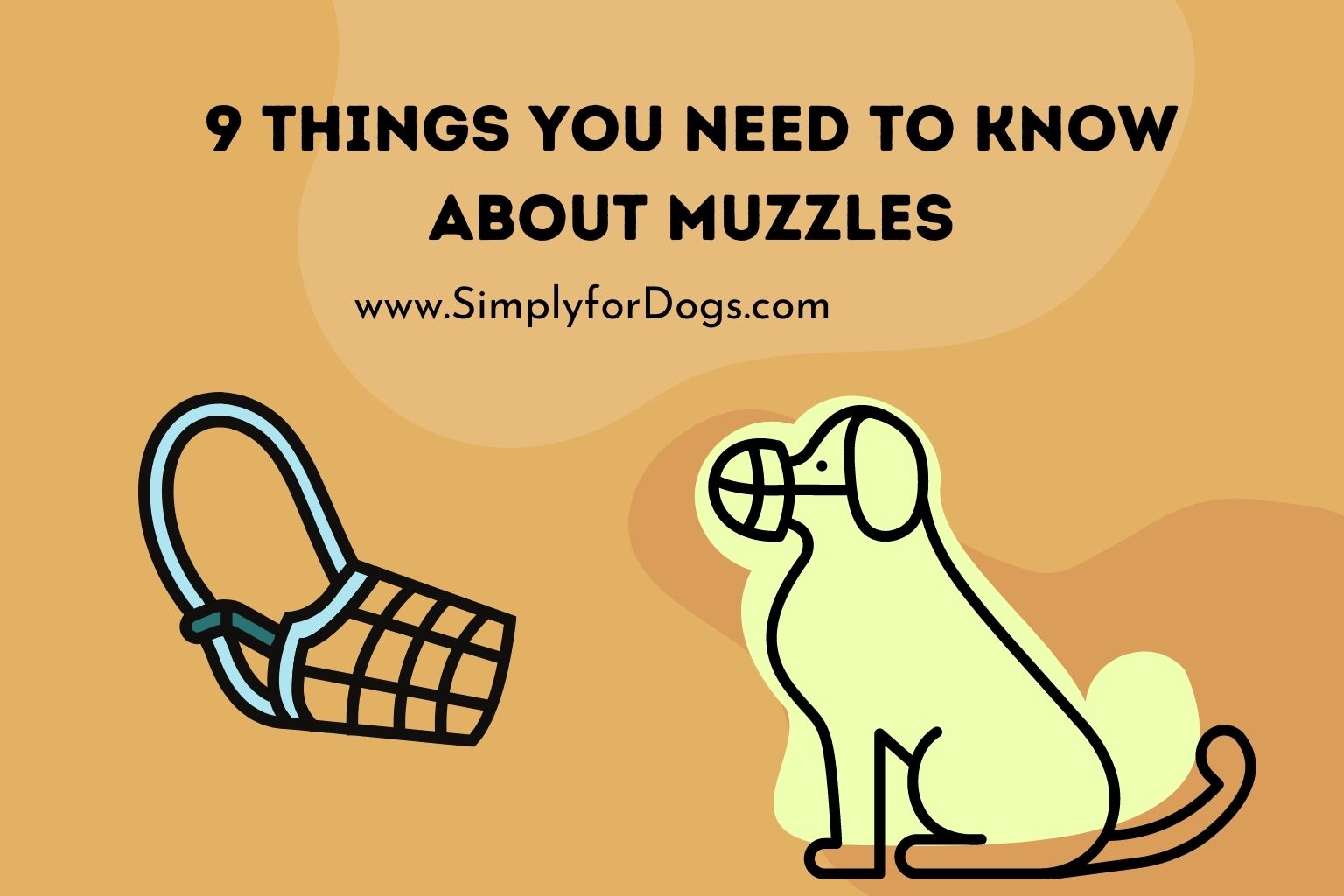 9 Things You Need to Know About Muzzles