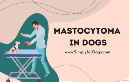 Mastocytoma in Dogs