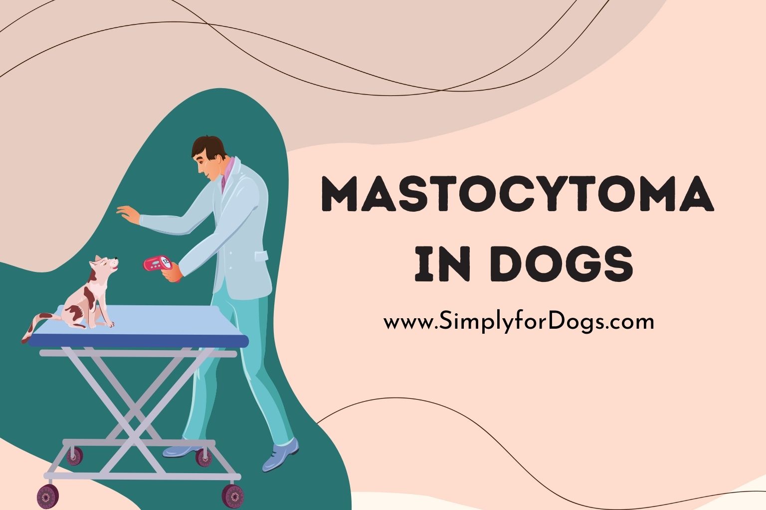 Mastocytoma in Dogs