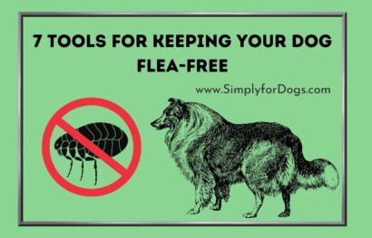 7 Tools for Keeping Your Dog Flea-Free