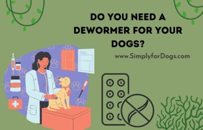 Do You Need a Dewormer for Your Dogs