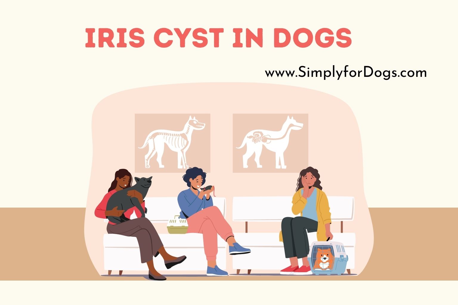 Iris Cyst in Dogs