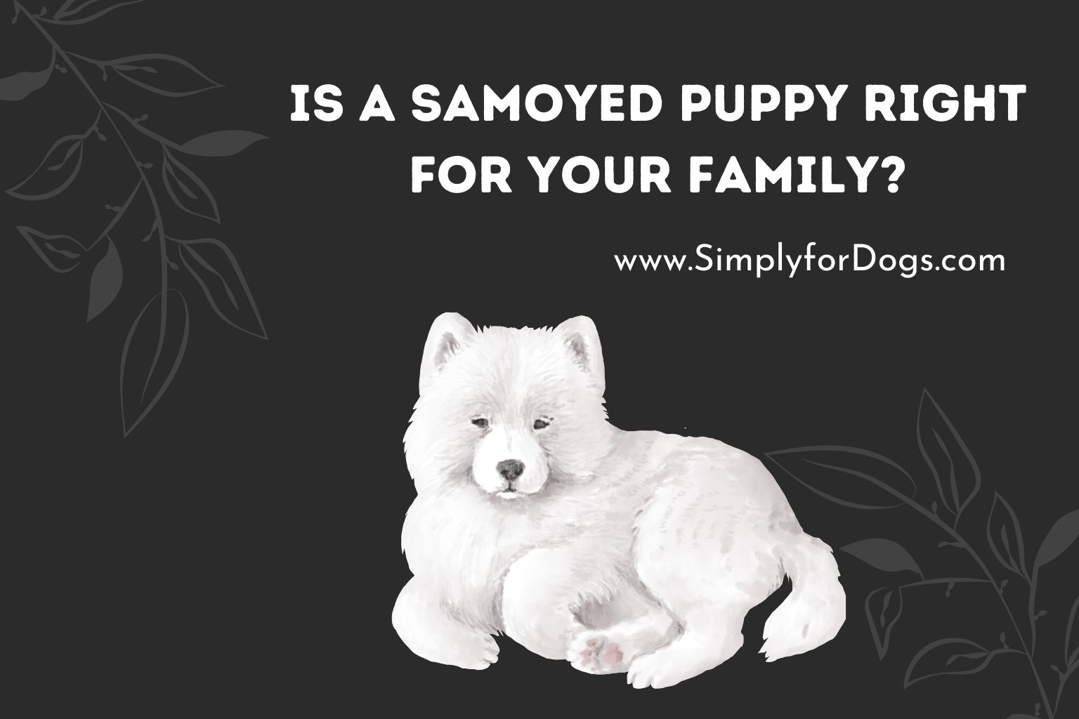 Is a Samoyed Puppy Right for Your Family_
