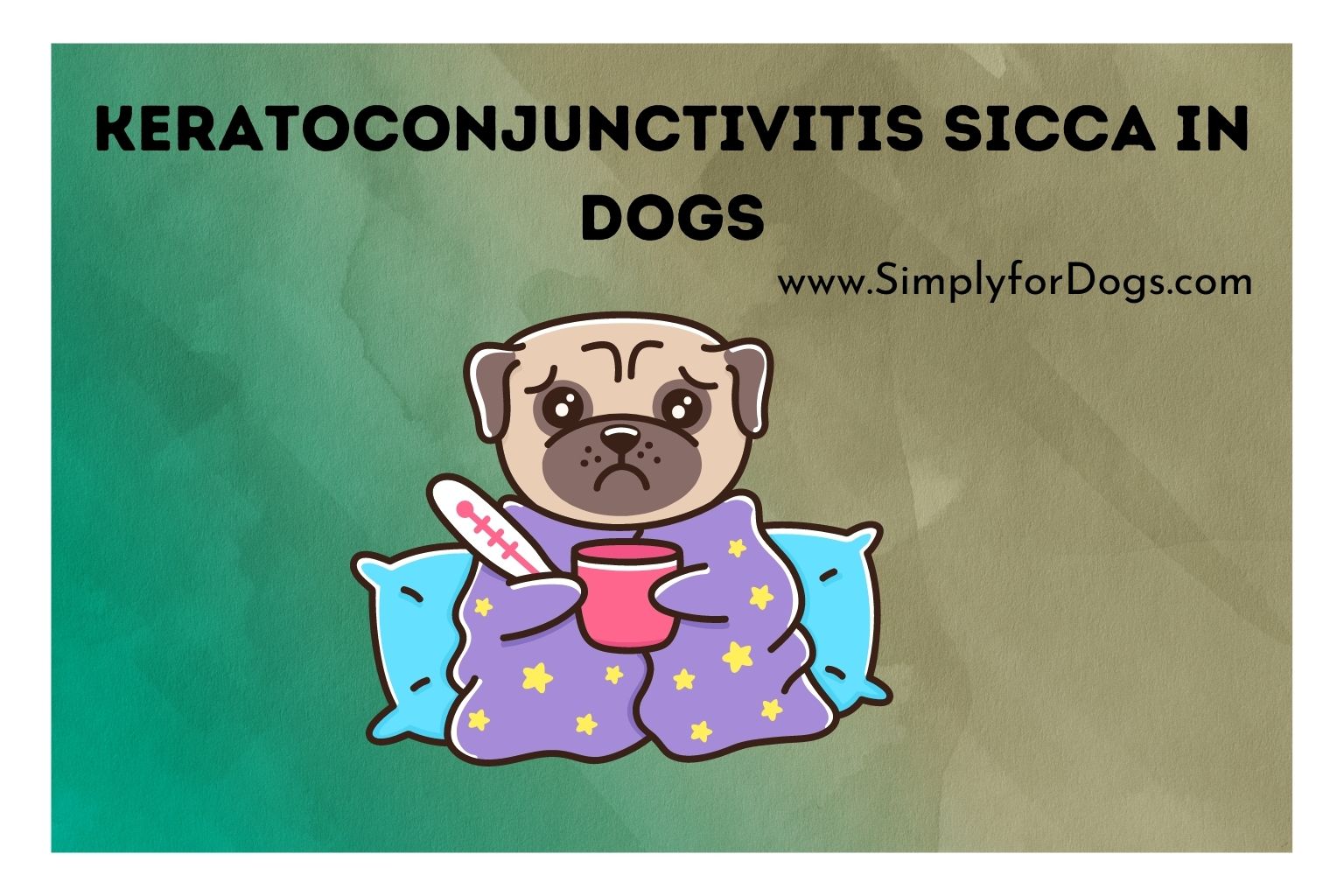 Keratoconjunctivitis Sicca in Dogs
