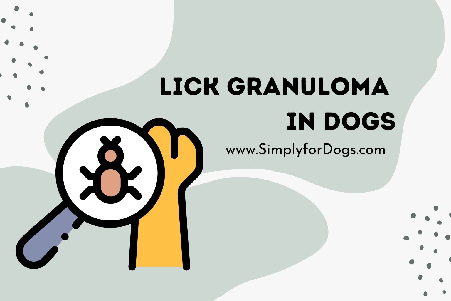 Lick Granuloma in Dogs