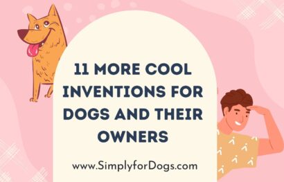 11 More Cool Inventions for Dogs and Their Owners